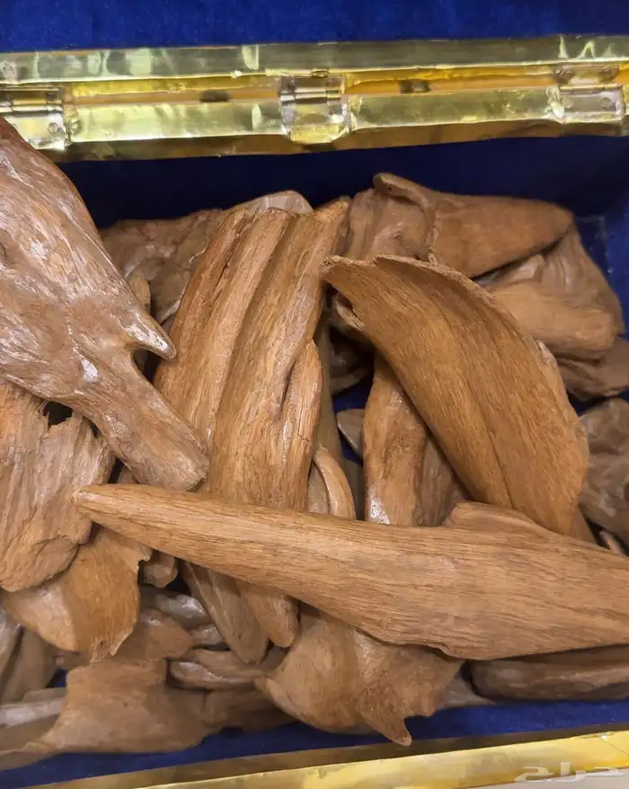 عود مروكي أصقون فاخر 0