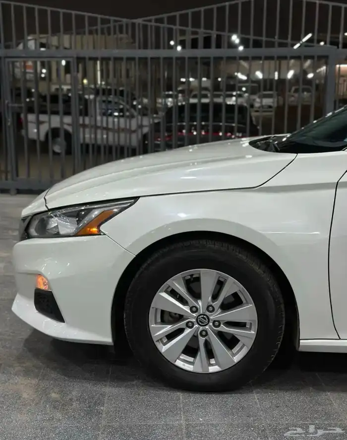 التيما 2022 مطور لؤلؤي لدى معرض(عبيد الرشيدي) 13