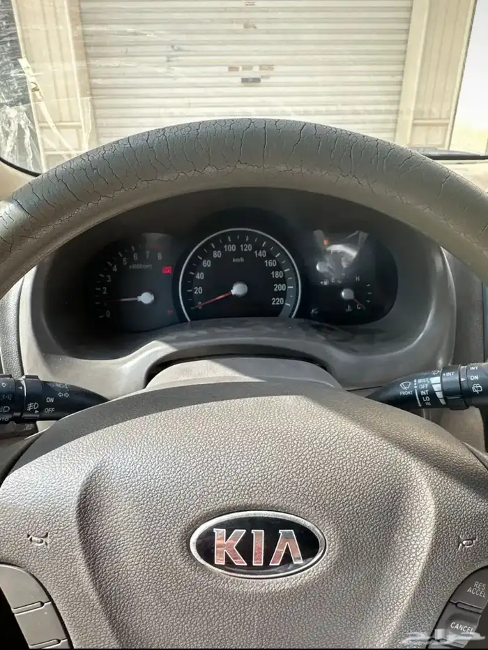 كارنيفال 2015 للبيع 8