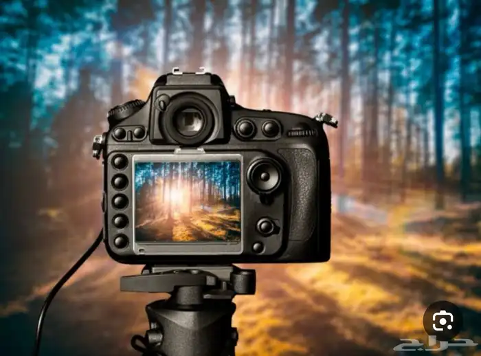 تصوير شقق وعماير للبيع ومطاعم وكافيهات وفنادق 0