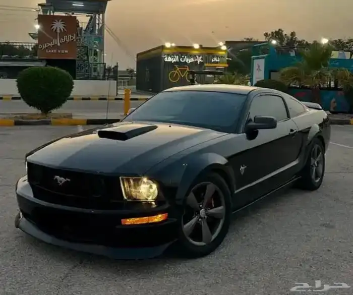 موستنج 2009جي تي 12