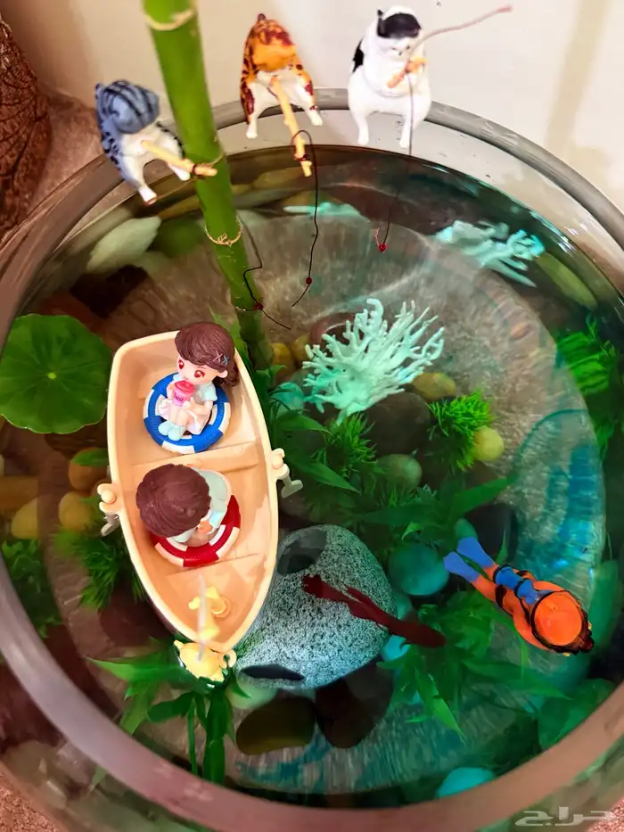 حوض سمك للبيع 1