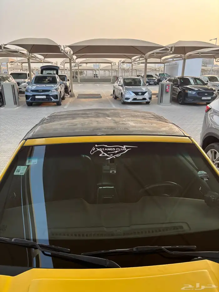 للبيع كشف موستنج مستخدم 0