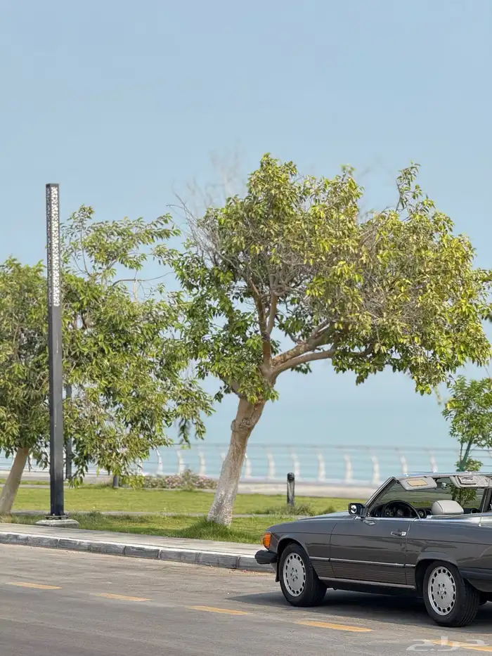 مرسيدس كلاسيك كشف 11