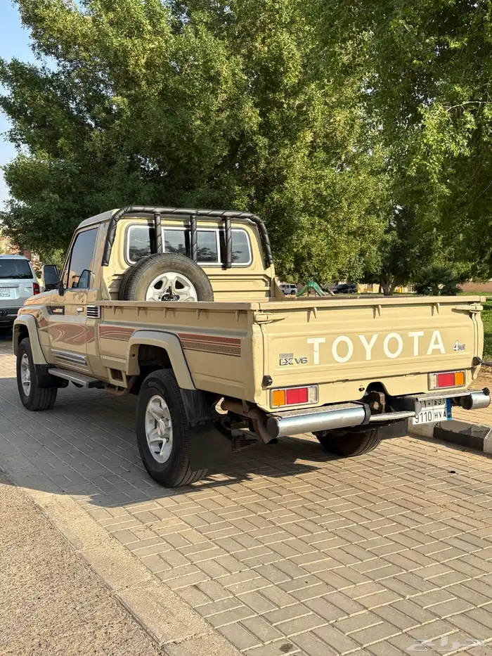 شاص رفرف 2015 3