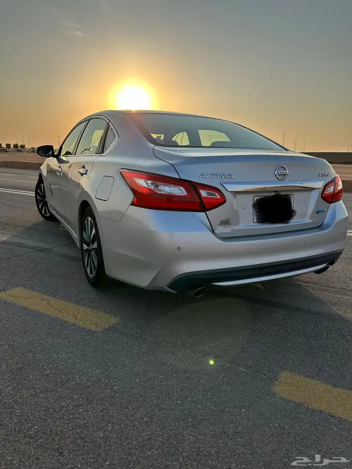 التيماء2017 2