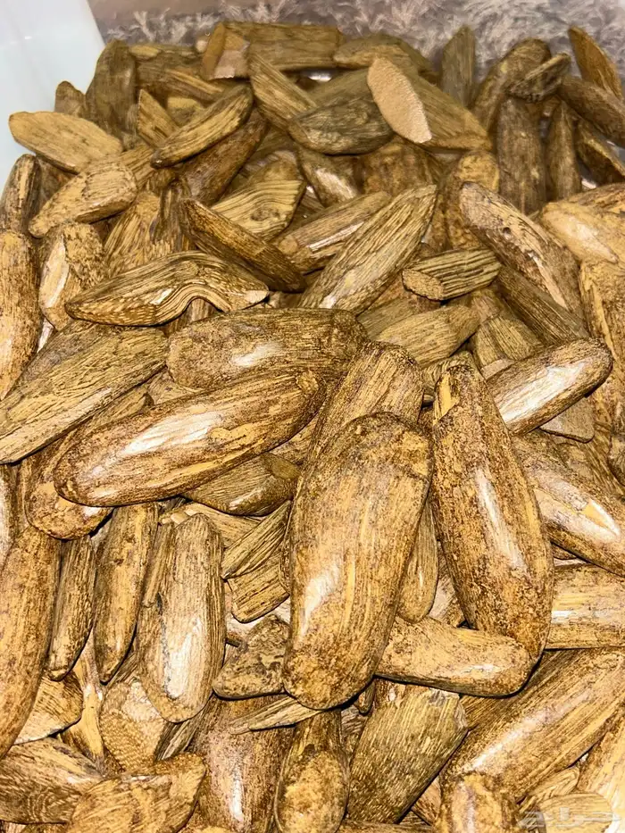 تصفية بضاعة محل عود كامله 19