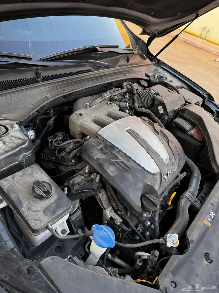 كادينزا وارد كوريا 6سلندر 6