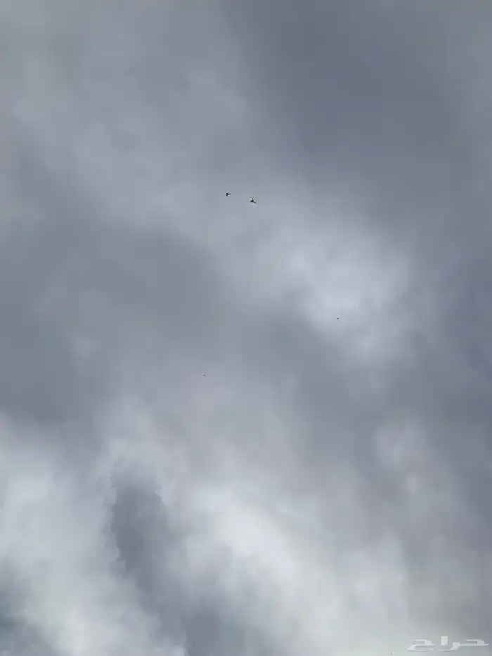 حمام بكستاني 19