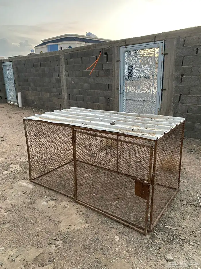 شبك دجاج 2في1 0