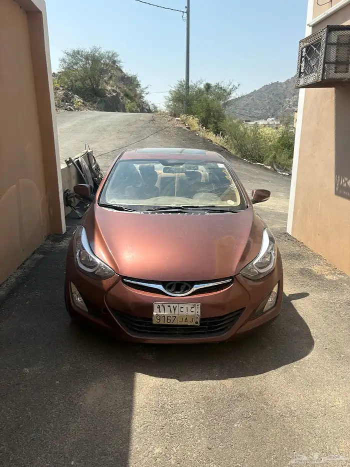 النترا 2013 22