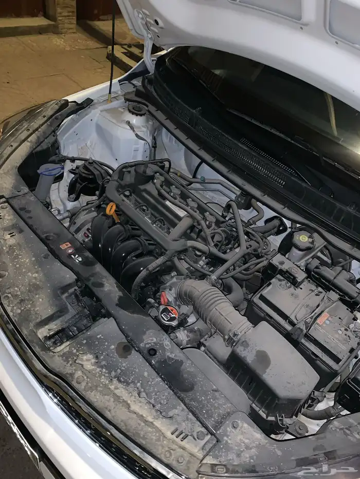 بيجاس 2024 مصدوم خفيفه 9