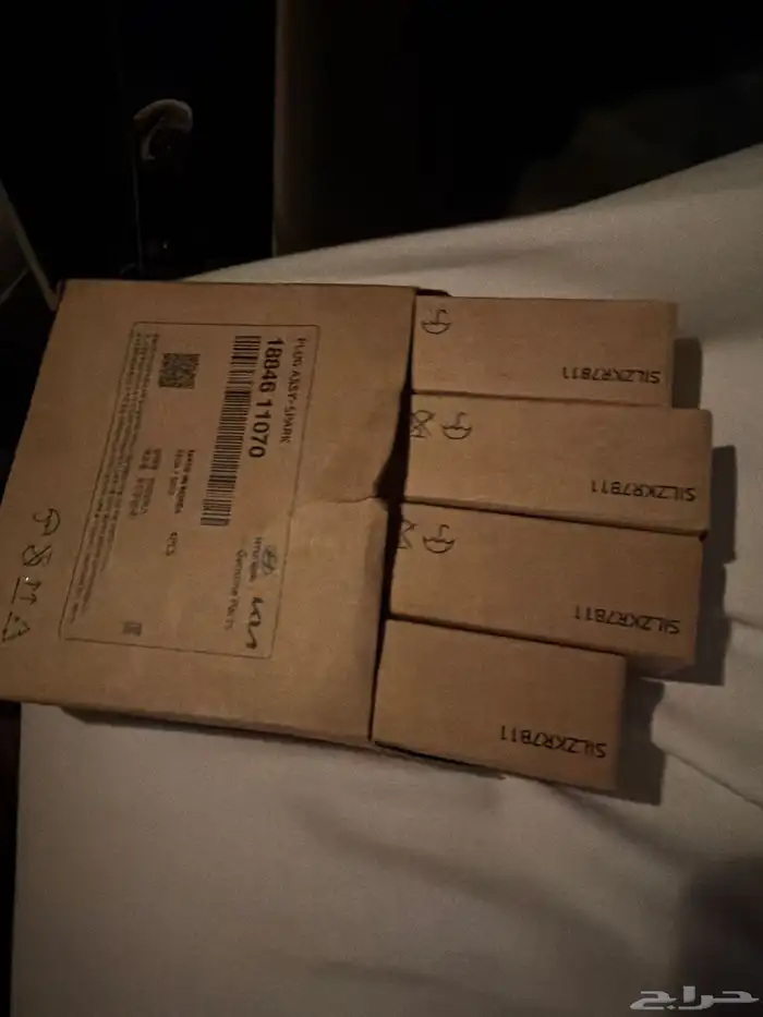 بواجي اكسنت وكاله 21 1