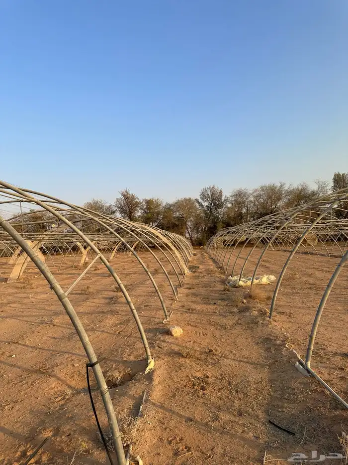 محميات للايجار 1