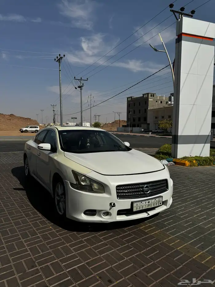 ماكسيما 2010 22