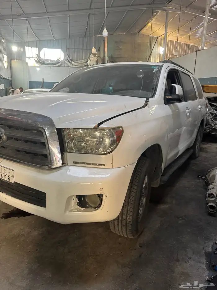 سكويا مخبط 2011 1