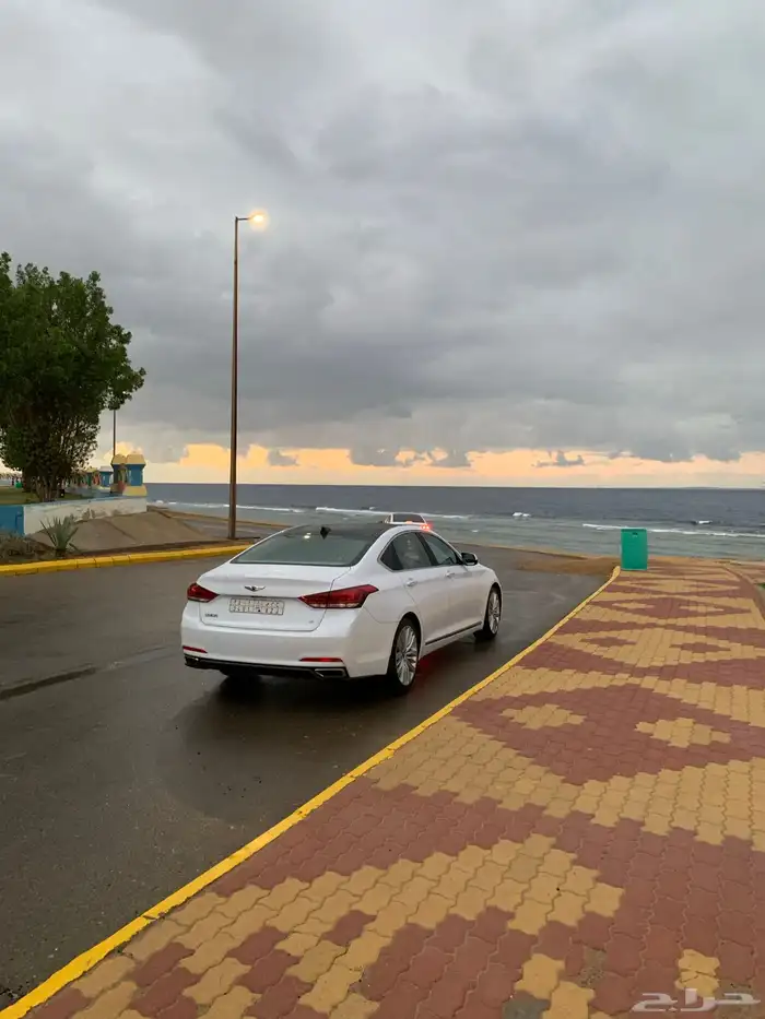 جينسس 2016 لؤلؤي 14