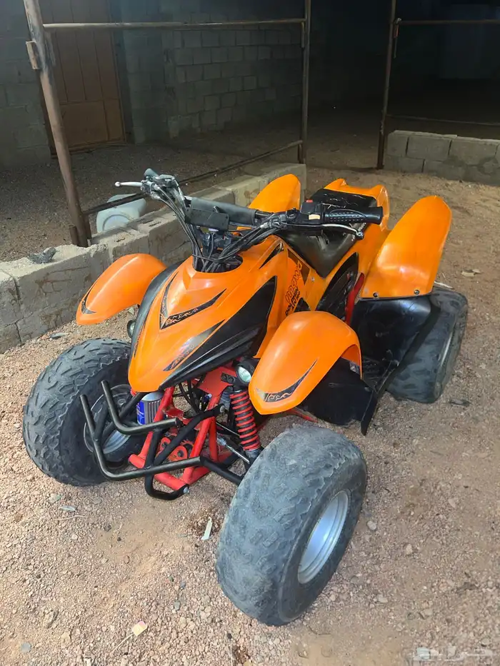 دباب تيواني 100 1