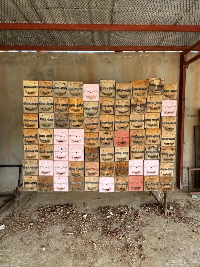 للبيع خلايا نحل فاضية 0