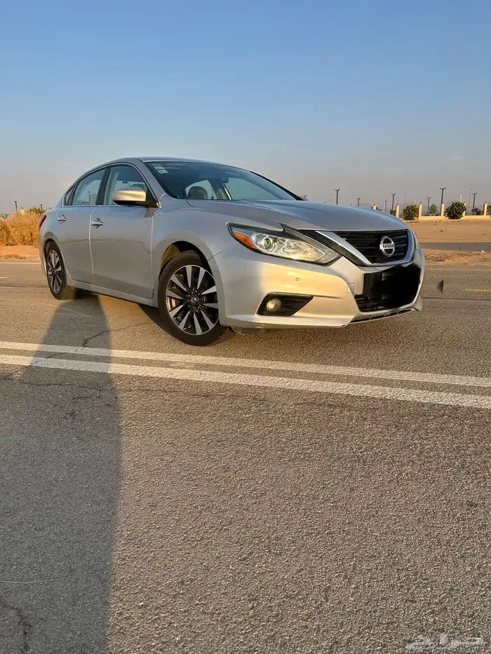 التيماء2017 4