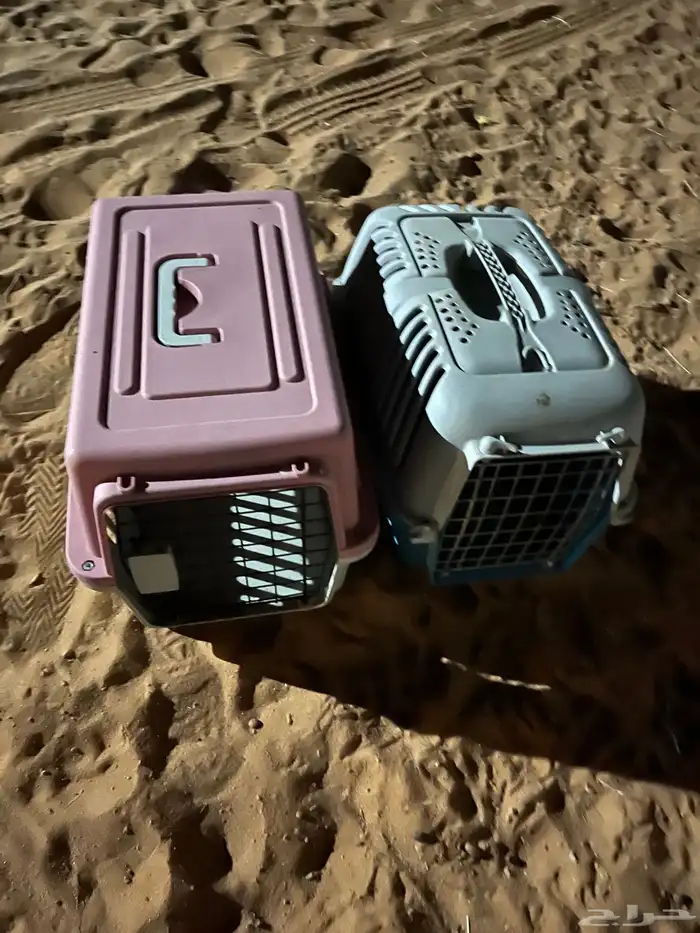 مستلزمات قطط 2