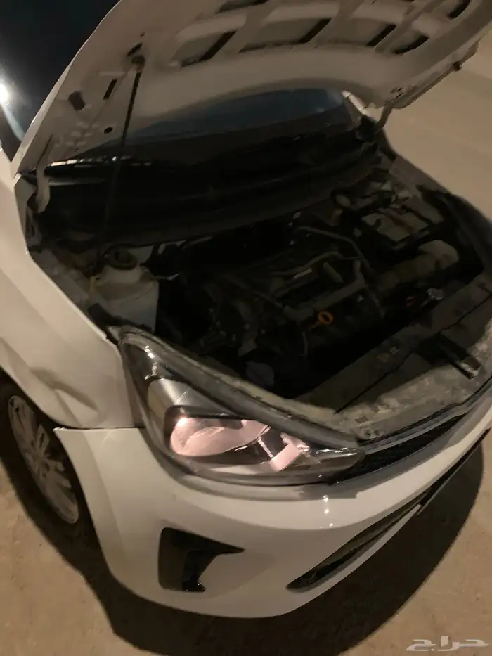 بيجاس 2024 مصدوم خفيفه 13