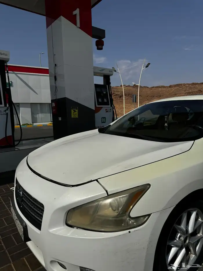 ماكسيما 2010 3