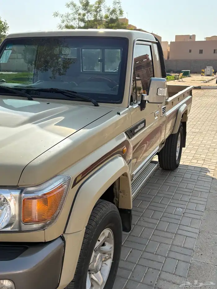 شاص رفرف 2015 5