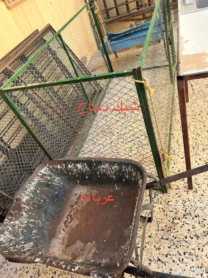 شبوك ابل و شبوك غنم 3