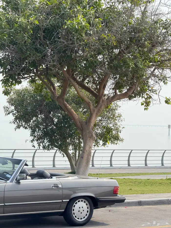 مرسيدس كلاسيك كشف 8