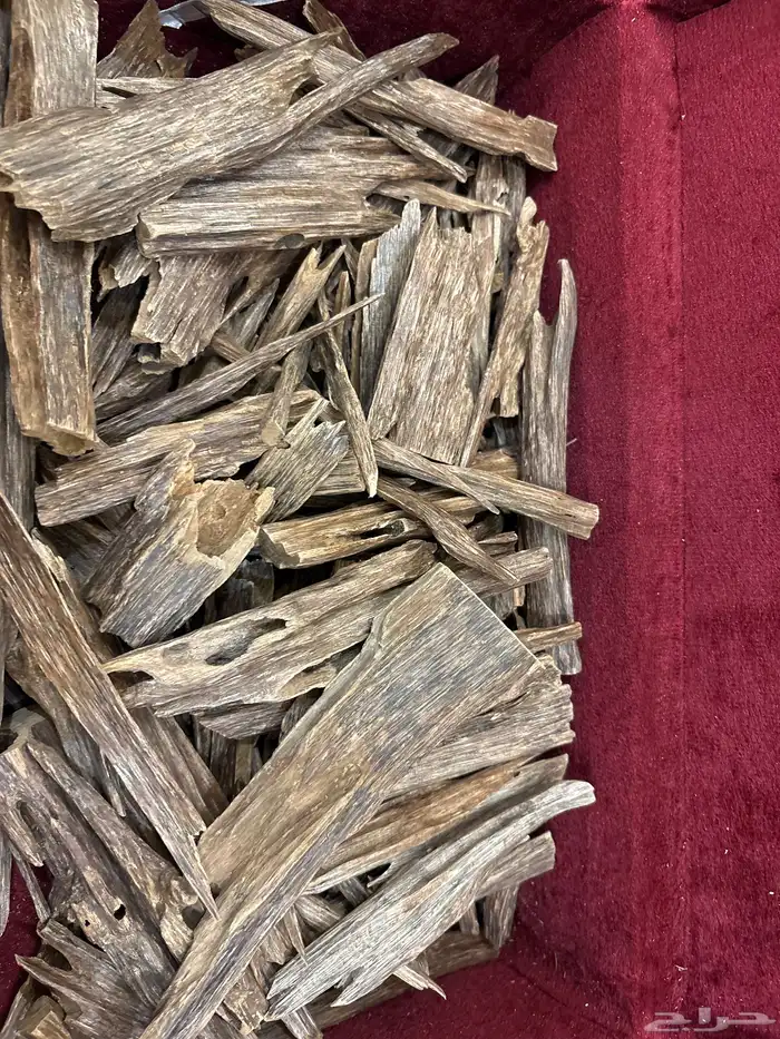 عود هندي صيده 1