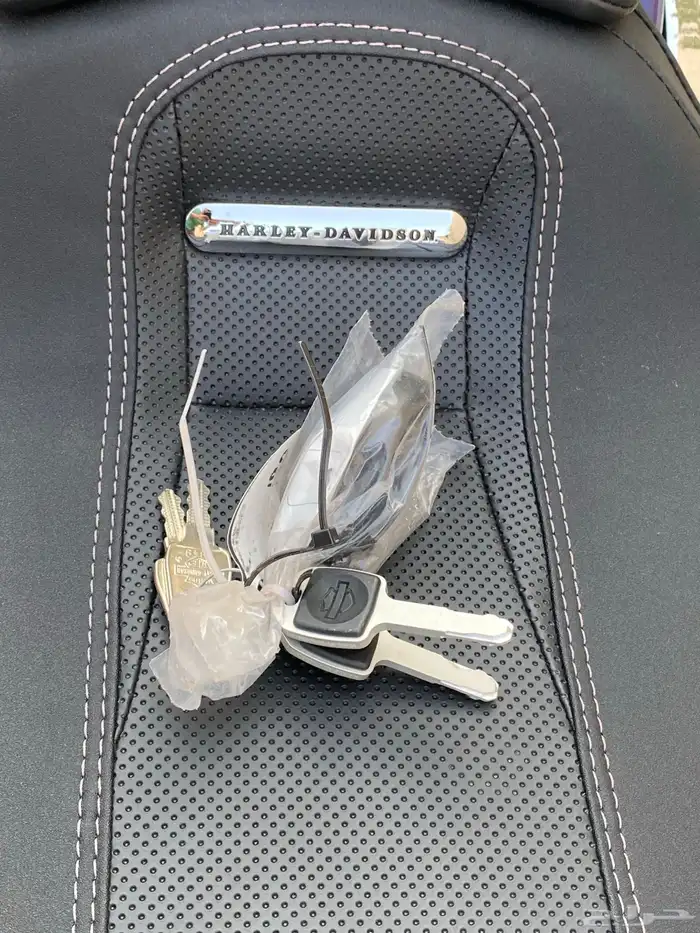 للبيع هارلي بريك اوت جديد 2024 9