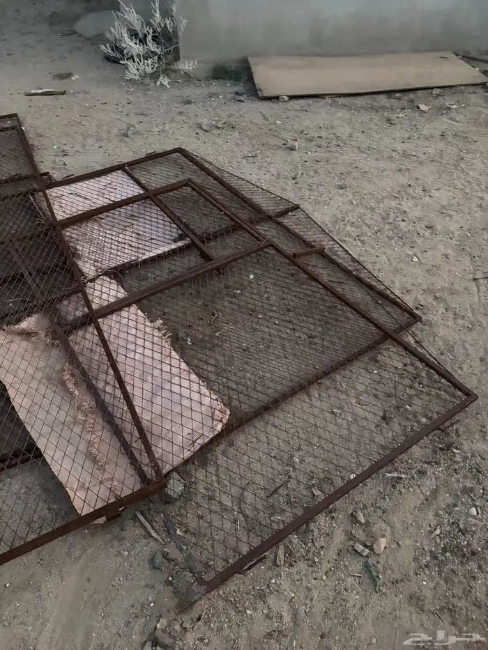 شبوك دجاج حمام ارانب 1