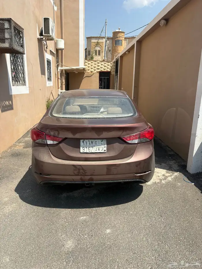 النترا 2013 20