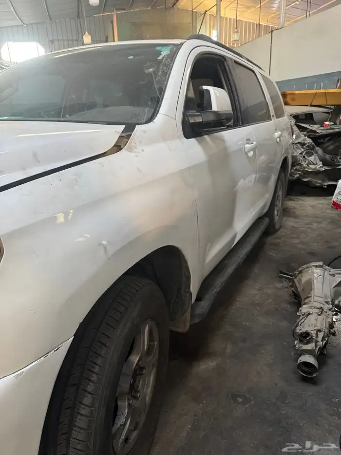 سكويا مخبط 2011 4