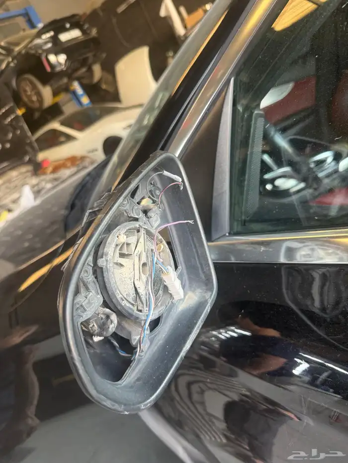 عالم التعديل 31