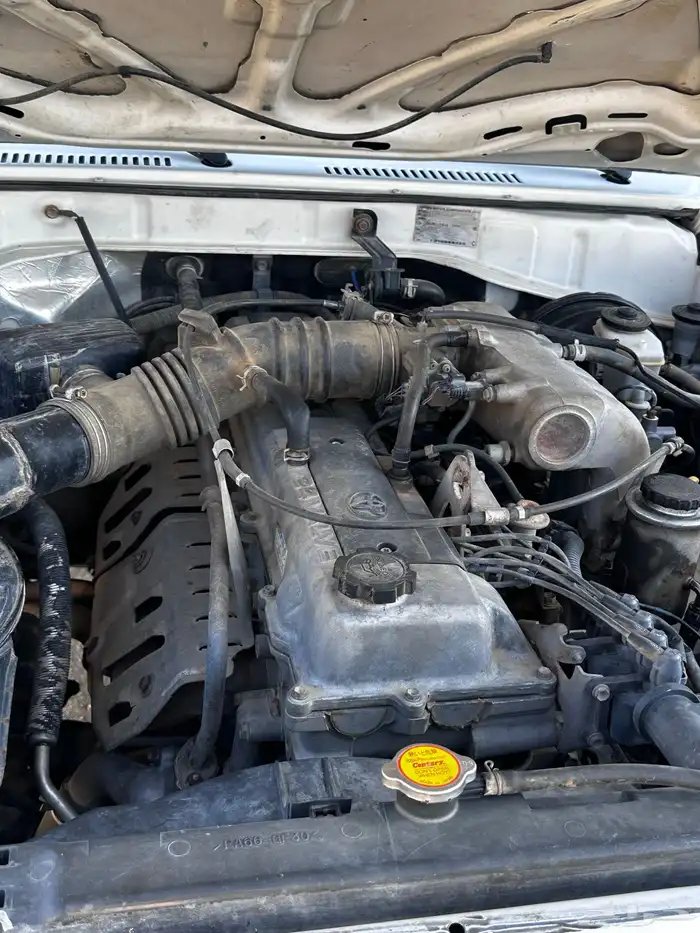 شاص مديل 2002 1