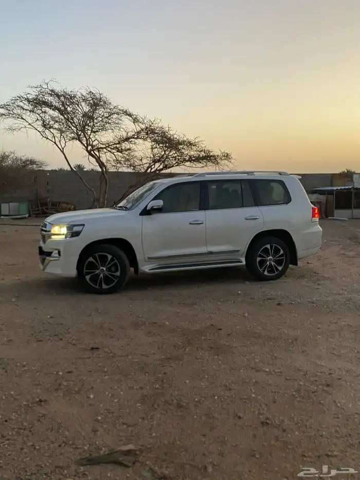 D إكس أر Siri تورنق  فل كامل مكينة قير شرط البادي شرط كامل 5