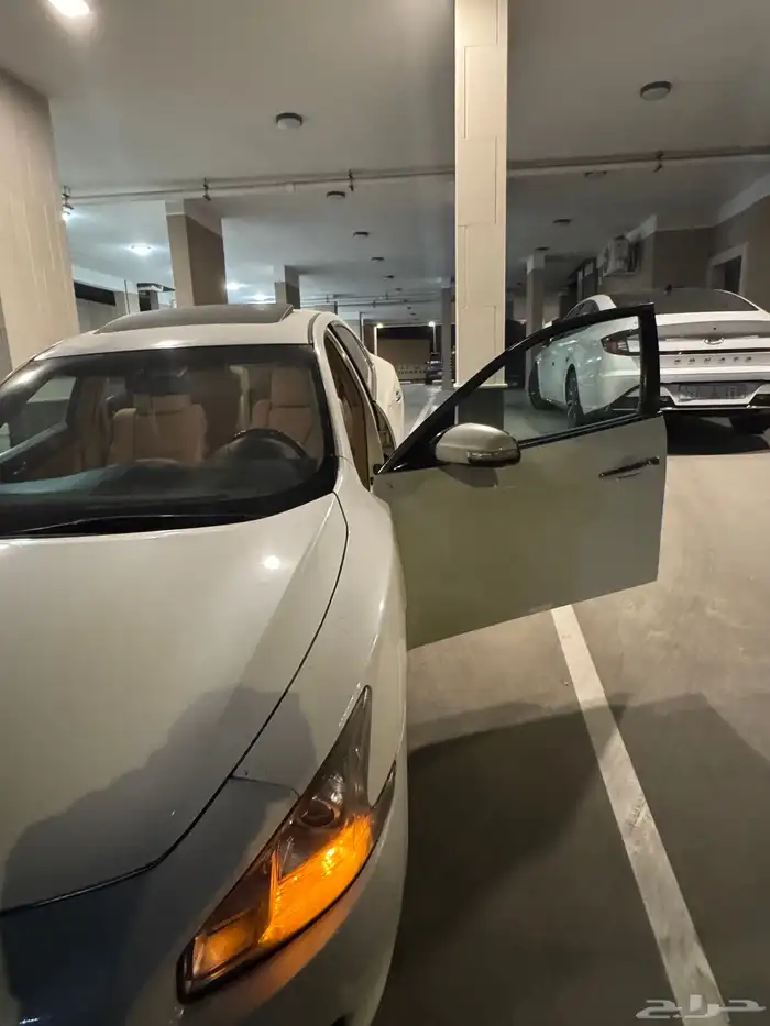 مكسيما 2010 10