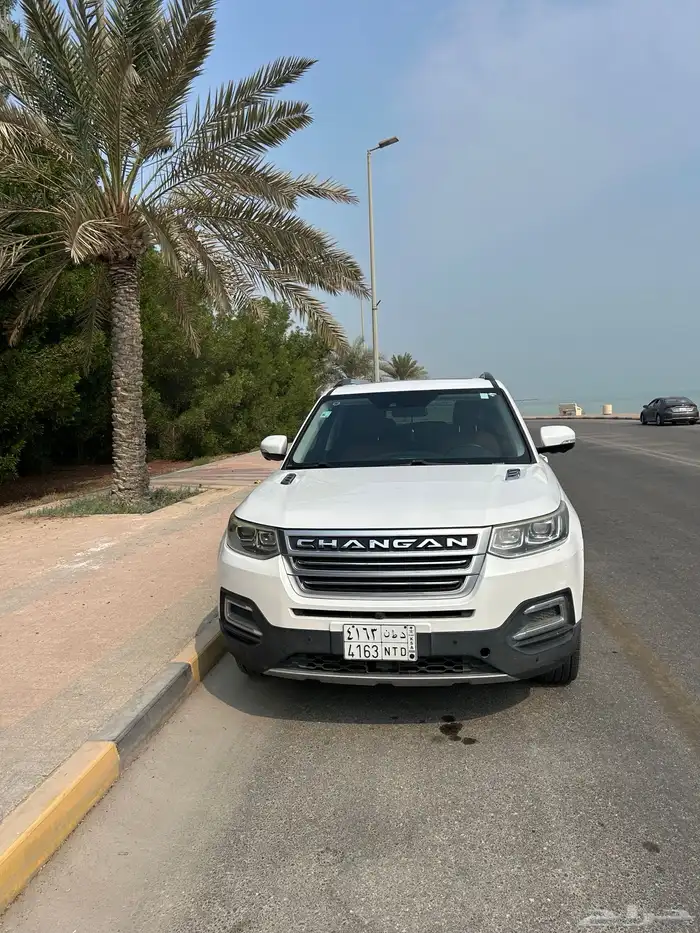 جيب شانجان 2019 للبيع 3