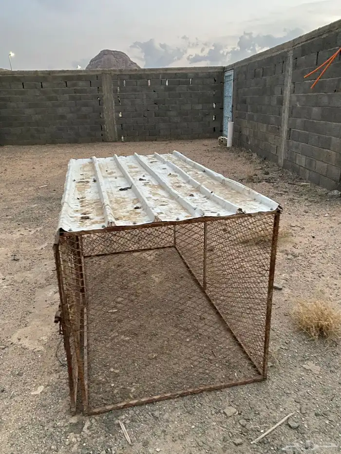 شبك دجاج 2في1 1