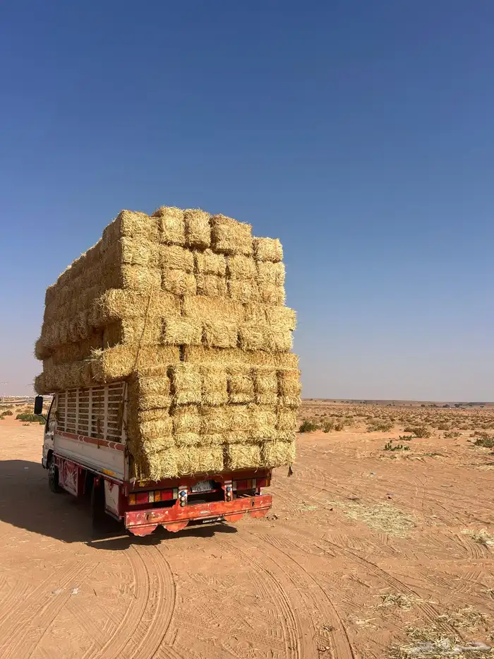 تبن بر صافي 2