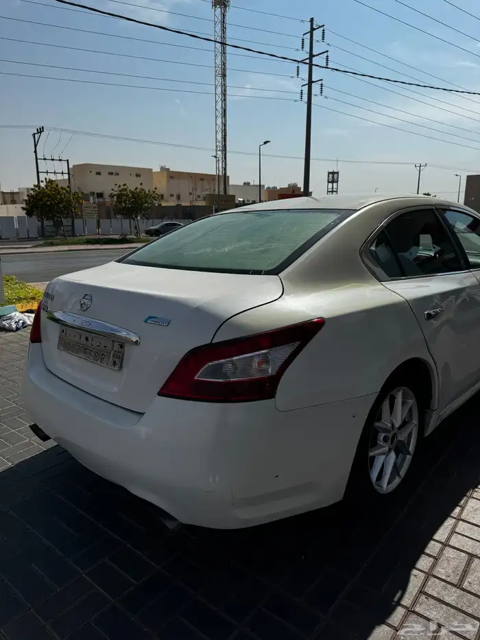 ماكسيما 2010 17