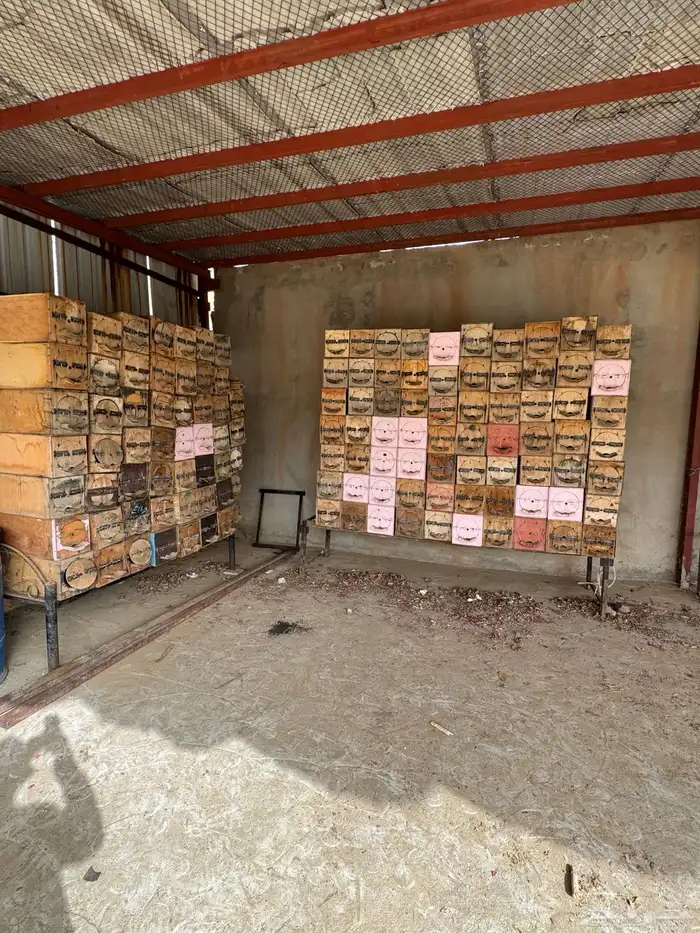 للبيع خلايا نحل فاضية 2