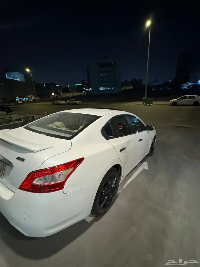 مكسيما 2010 16