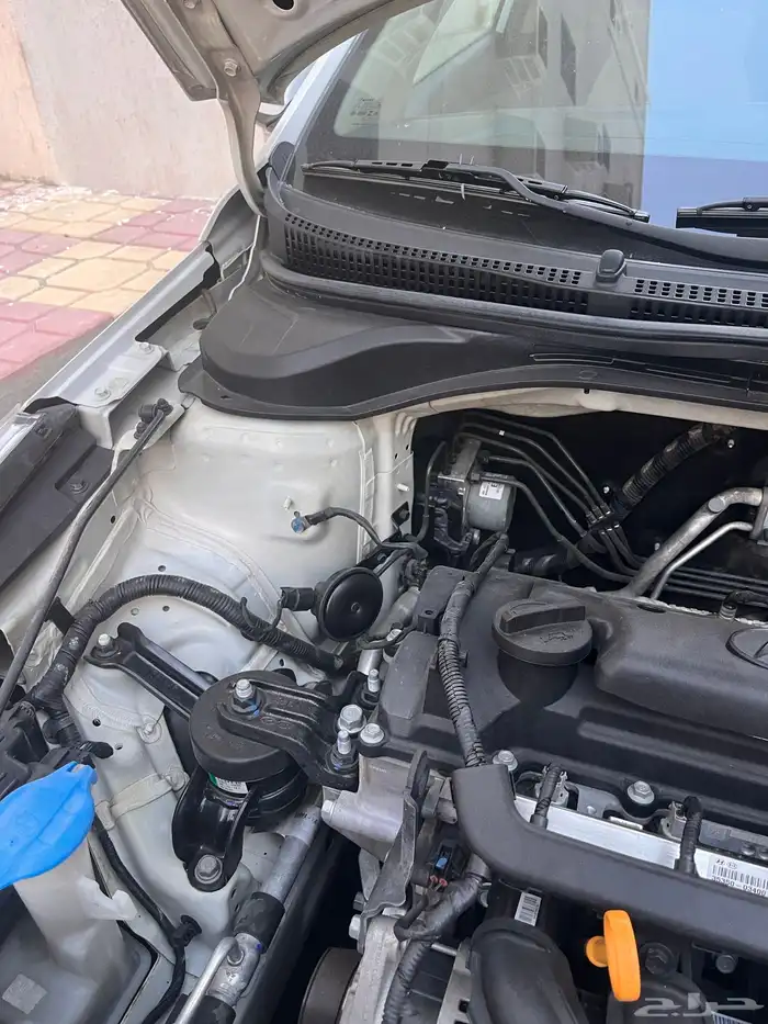 اكسنت 2020 استناندر 8