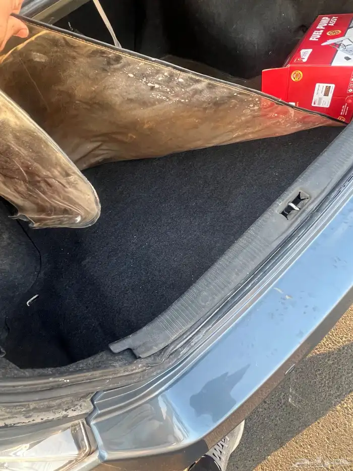 نيسان ألتيما 2011 شبه مخزن مالكين فقط 32