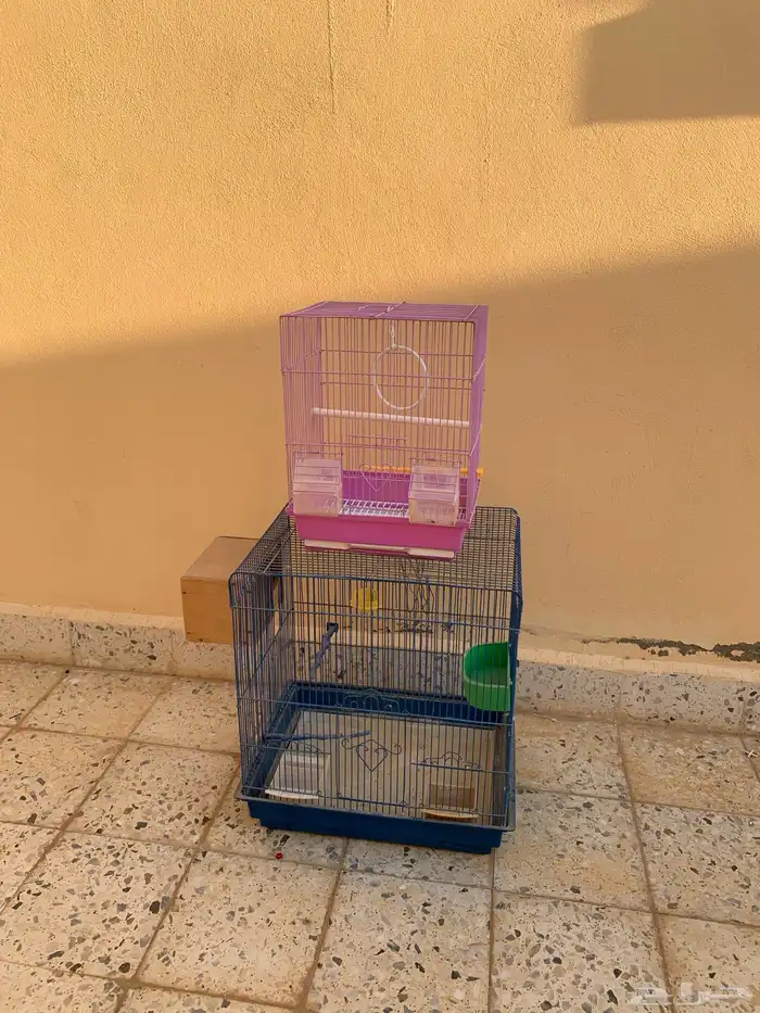 منتجات للبيع على السوم 7