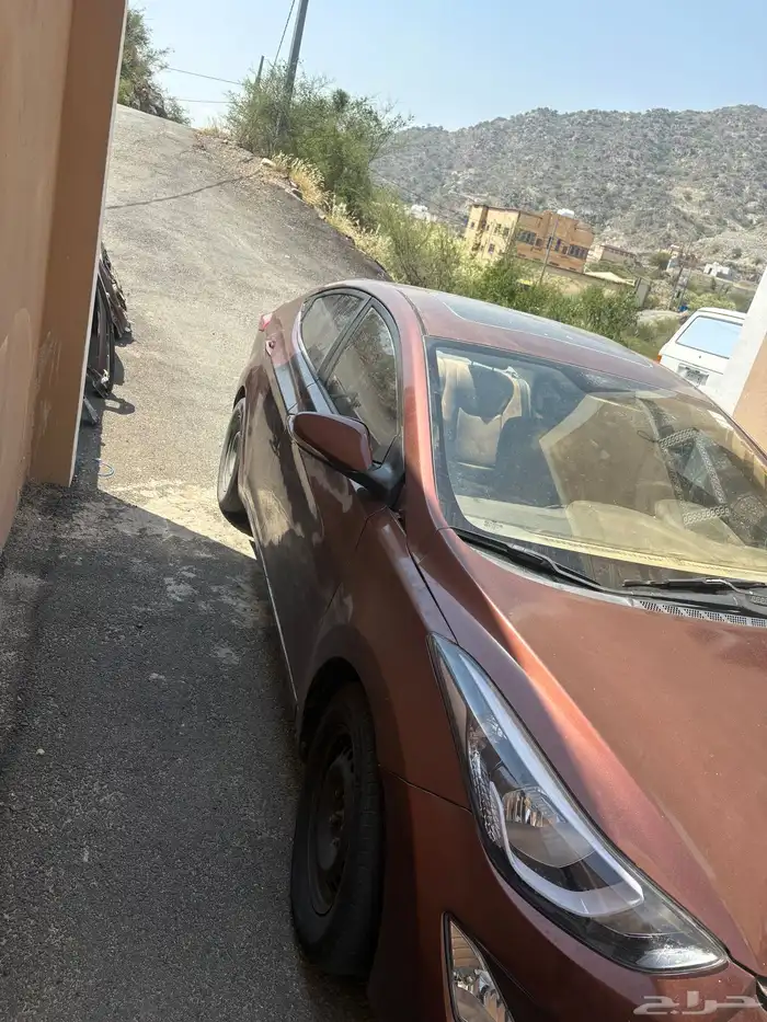 النترا 2013 19