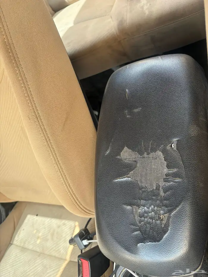 النترا 2013 13